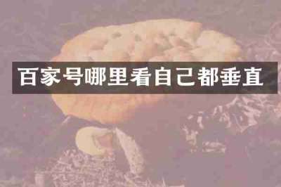百家号哪里看自己都垂直