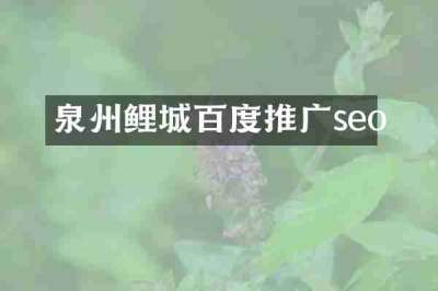 泉州鲤城百度推广seo