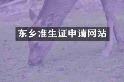 东乡准生证申请网站