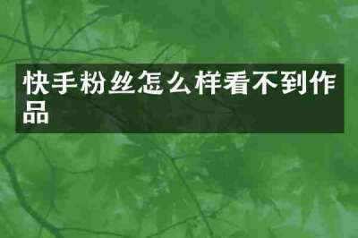 快手粉丝怎么样看不到作品