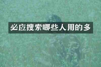 必应搜索哪些人用的多