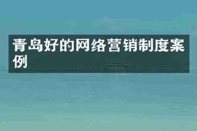 青岛好的网络营销制度案例