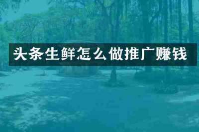 头条生鲜怎么做推广赚钱