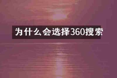 为什么会选择360搜索