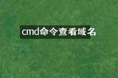 cmd命令查看域名