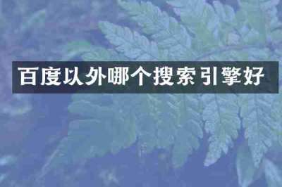百度以外哪个搜索引擎好