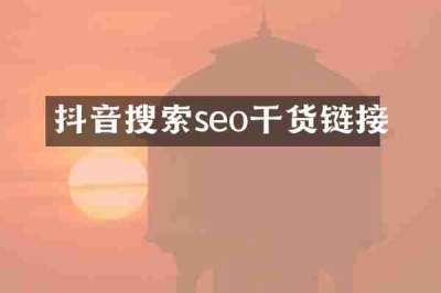 抖音搜索seo干货链接