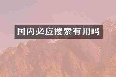 国内必应搜索有用吗