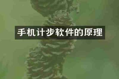 手机计步软件的原理