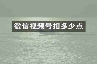 微信视频号扣多少点