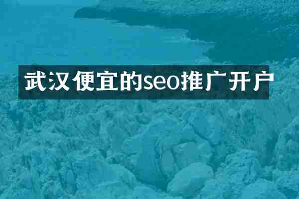 武汉便宜的seo推广开户