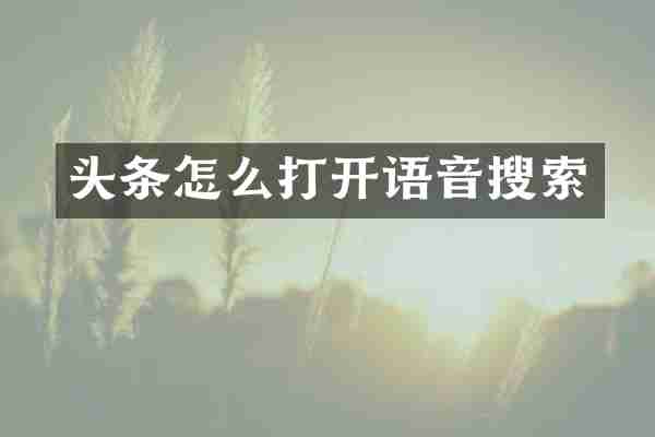 头条怎么打开语音搜索