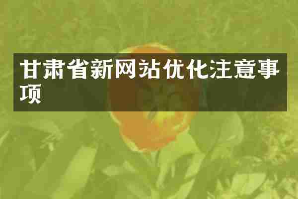 甘肃省新网站优化注意事项