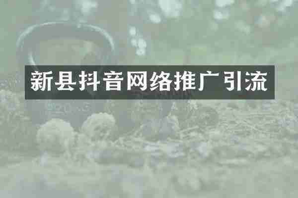 新县抖音网络推广引流