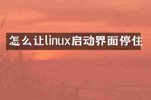 怎么让linux启动界面停住