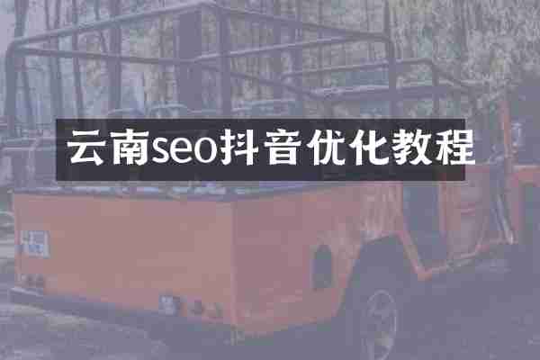 云南seo抖音优化教程