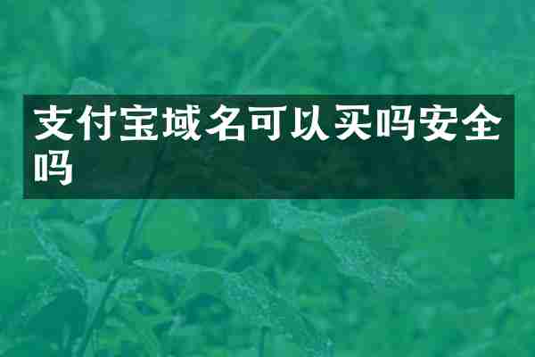 支付宝域名可以买吗安全吗