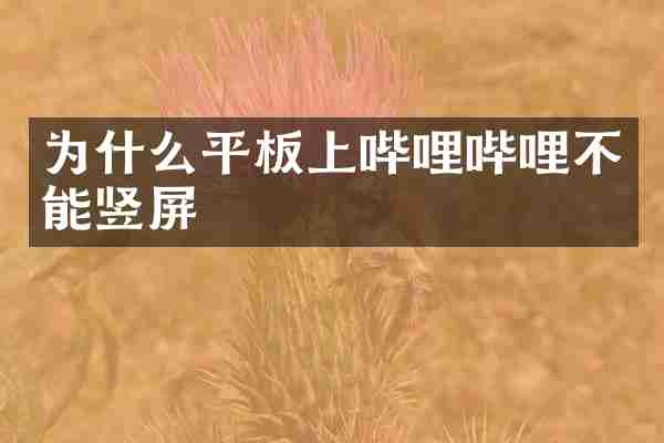 为什么平板上哔哩哔哩不能竖屏