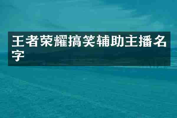 王者荣耀搞笑辅助主播名字