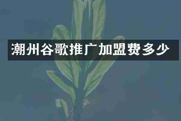 潮州谷歌推广加盟费多少