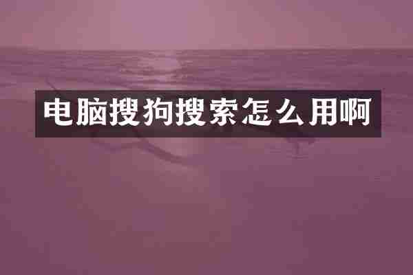 电脑搜狗搜索怎么用啊