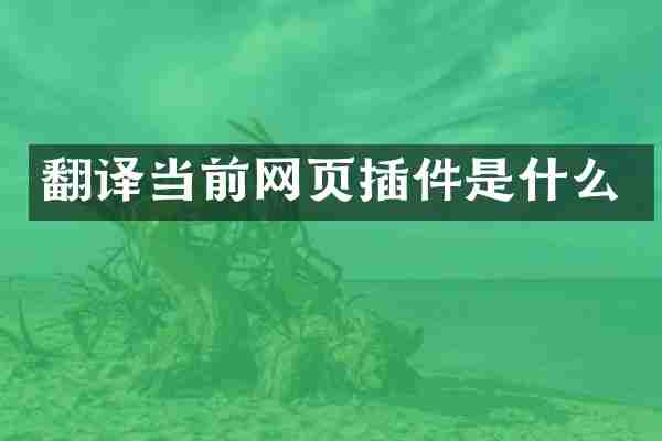 翻译当前网页插件是什么