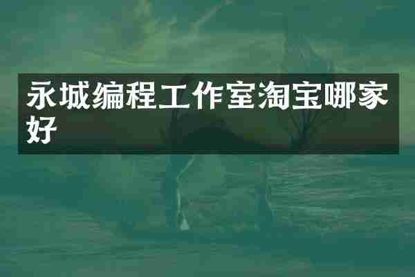 永城编程工作室淘宝哪家好