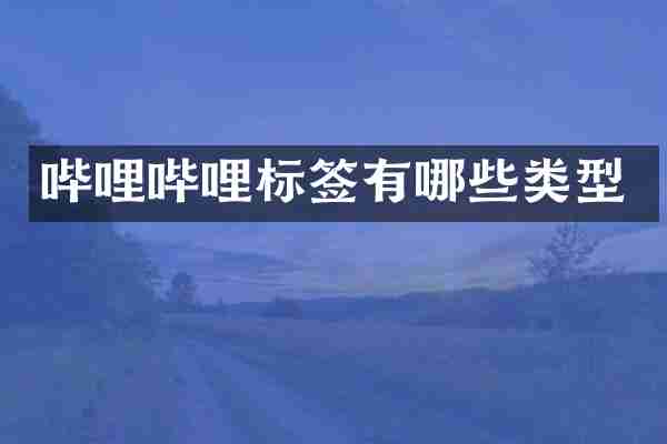 哔哩哔哩标签有哪些类型