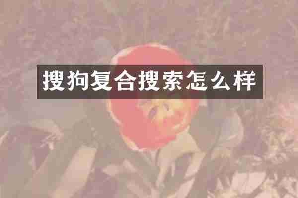 搜狗复合搜索怎么样