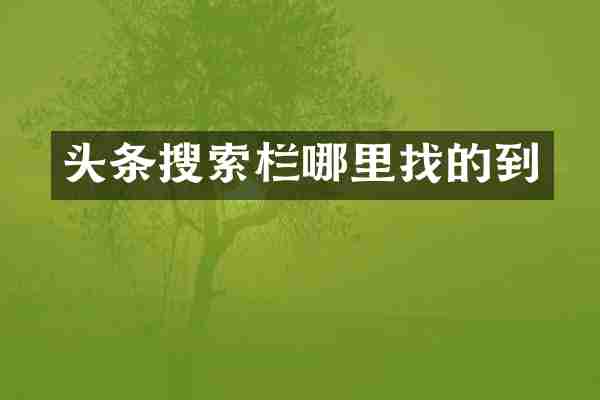 头条搜索栏哪里找的到