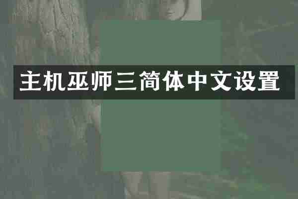 主机巫师三简体中文设置
