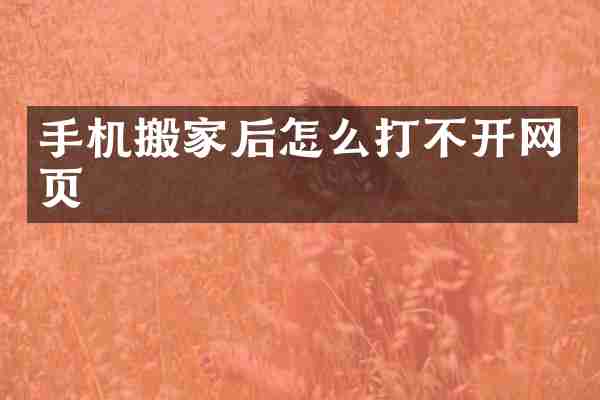 手机搬家后怎么打不开网页