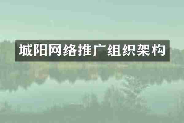 城阳网络推广组织架构