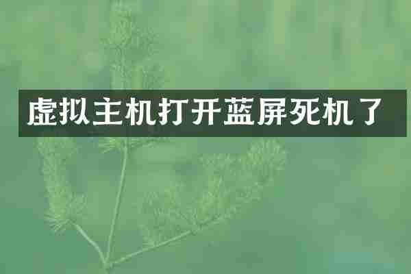 虚拟主机打开蓝屏死机了
