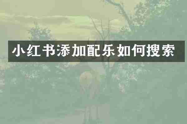 小红书添加配乐如何搜索