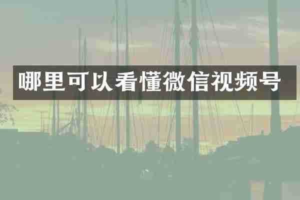 哪里可以看懂微信视频号