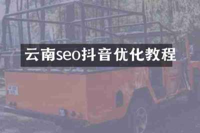 云南seo抖音优化教程