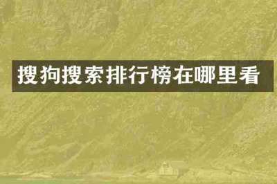 搜狗搜索排行榜在哪里看
