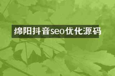 绵阳抖音seo优化源码