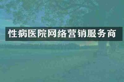 性病医院网络营销服务商