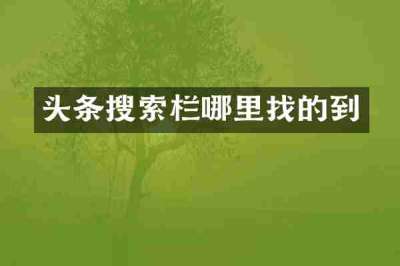 头条搜索栏哪里找的到