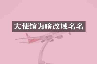 大使馆为啥改域名名