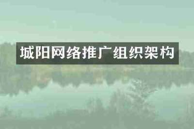 城阳网络推广组织架构