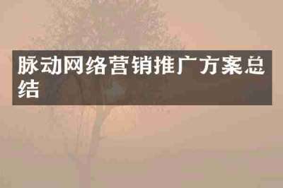 脉动网络营销推广方案总结
