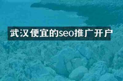 武汉便宜的seo推广开户