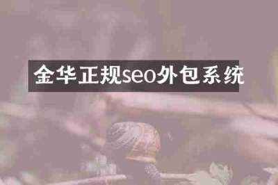 金华正规seo外包系统