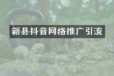 新县抖音网络推广引流