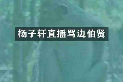 杨子轩直播骂边伯贤