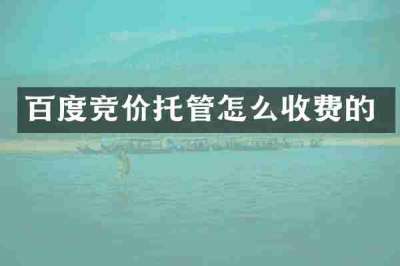 百度竞价托管怎么收费的