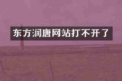 东方润唐网站打不开了
